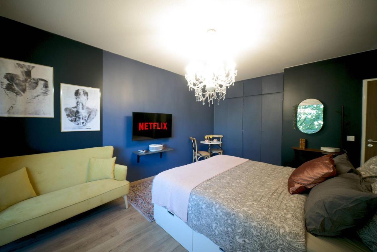 Le Boudoir, Centre Ville, Parking Couvert Inclus Mulhouse Exterior foto
